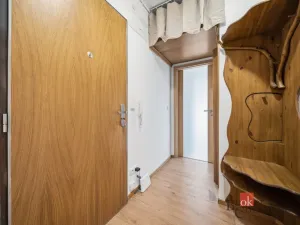 Prodej bytu 1+1, Praha - Podolí, Podolská, 39 m2