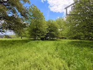 Prodej pozemku pro bydlení, Lestkov, 2218 m2