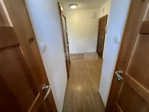 Pronájem bytu 3+1, Plzeň, Nepomucká, 70 m2