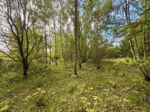 Prodej pozemku pro bydlení, Lestkov - Domaslav, 435 m2