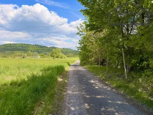 Prodej pozemku pro bydlení, Lestkov - Domaslav, 435 m2