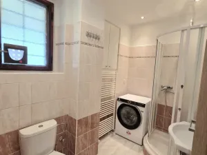 Pronájem vícegeneračního domu, Praha - Řepy, Boršovská, 160 m2