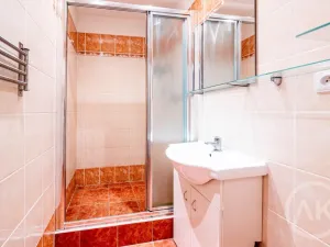 Pronájem bytu 1+kk, Ostrava - Výškovice, Výškovická, 28 m2