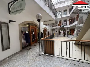 Pronájem obchodního prostoru, Brno, Orlí, 25 m2