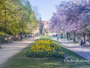 Prodej bytu 3+1, Praha - Malá Strana, Mělnická, 90 m2