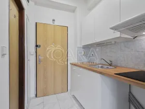 Pronájem bytu 1+kk, Praha - Libeň, Sokolovská, 18 m2