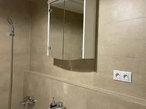Pronájem bytu 1+kk, Praha - Žižkov, Olgy Havlové, 37 m2