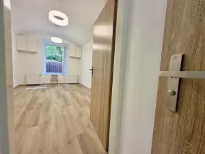 Pronájem bytu 1+1, Praha - Žižkov, Hartigova, 29 m2