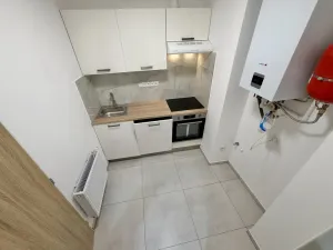 Pronájem bytu 1+1, Praha - Žižkov, Hartigova, 29 m2