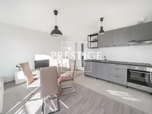 Pronájem bytu 1+kk, Praha - Žižkov, Olgy Havlové, 40 m2