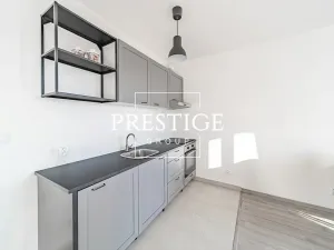 Pronájem bytu 1+kk, Praha - Žižkov, Olgy Havlové, 40 m2