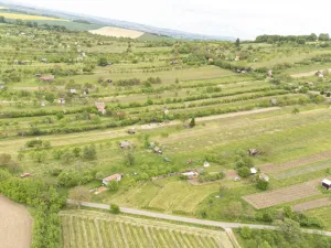 Prodej sadu/vinice, Strážnice, 5457 m2