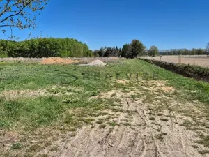 Prodej pozemku pro bydlení, Čejkovice, 800 m2