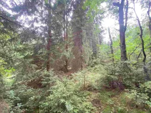 Prodej pole, Krásná, 1440 m2