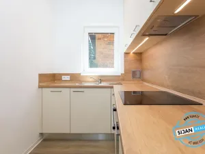 Pronájem bytu 1+1, Opava, Krnovská, 24 m2