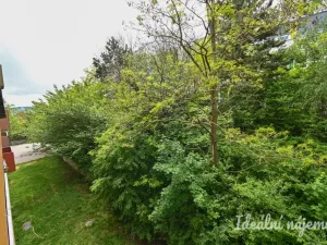 Pronájem bytu 2+kk, Brno, Kamínky, 55 m2
