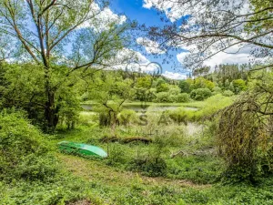 Prodej chaty, Chrášťany - Pašovice, 20 m2