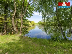Prodej louky, Vlašim - Domašín, 1137 m2