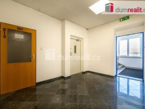 Pronájem kanceláře, České Budějovice - České Budějovice 6, Novohradská, 30 m2