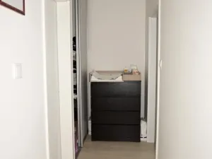 Pronájem bytu 2+kk, Prostějov, Mlýnská, 65 m2