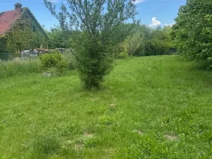 Prodej zahrady, Skaštice, 1300 m2