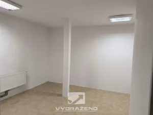 Prodej rodinného domu, Skaštice, 230 m2