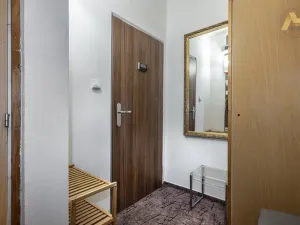 Pronájem bytu 1+1, Písek - Pražské Předměstí, Přemyslova, 42 m2