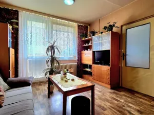 Prodej bytu 2+kk, Hořice, Pod Lipou, 43 m2