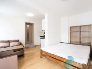 Pronájem bytu 1+kk, České Budějovice - České Budějovice 5, Prašná, 26 m2
