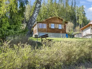 Prodej chaty, Horní Planá - Hůrka, 42 m2