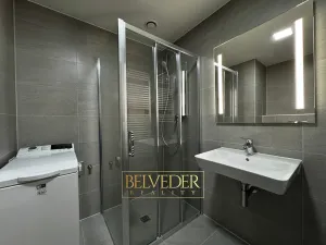 Pronájem bytu 2+kk, Praha - Hloubětín, Sobí, 55 m2
