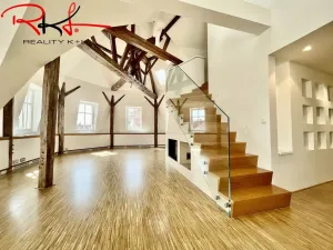 Pronájem bytu 6+kk a větší, Praha, Ovenecká, 265 m2