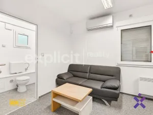Prodej komerčního pozemku, Biskupice, 4600 m2