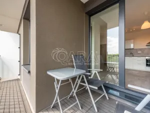 Pronájem bytu 2+kk, Praha - Žižkov, Olgy Havlové, 43 m2
