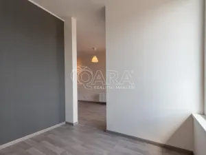 Pronájem bytu 2+kk, Praha - Žižkov, Olgy Havlové, 43 m2