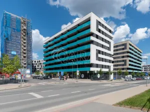 Pronájem bytu 2+kk, Praha - Žižkov, Olgy Havlové, 43 m2