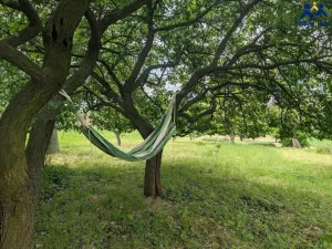 Prodej pozemku, Želeč, 40 m2