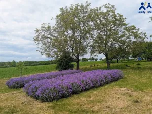 Prodej pozemku, Želeč, 40 m2