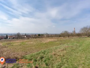 Prodej pozemku pro bydlení, Držovice, 2369 m2