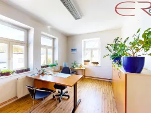 Prodej vícegeneračního domu, Frýdlant, ČSA, 624 m2