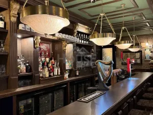 Pronájem restaurace, Praha - Karlín, Křižíkova, 320 m2