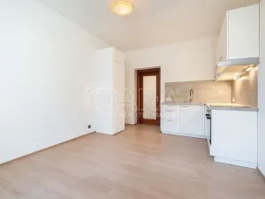 Pronájem bytu 1+kk, Praha - Strašnice, U hráze, 21 m2