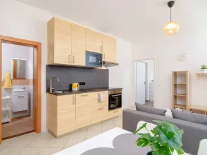 Pronájem bytu 2+kk, Praha - Karlín, Sokolovská, 50 m2