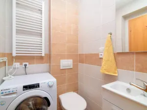 Pronájem bytu 2+kk, Praha - Karlín, Sokolovská, 50 m2