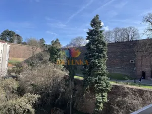 Pronájem bytu 2+1, Praha - Vyšehrad, Vratislavova, 66 m2