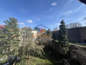 Pronájem bytu 2+1, Praha - Vyšehrad, Vratislavova, 66 m2