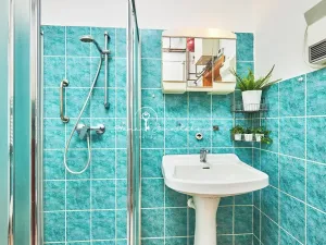 Prodej chalupy, Vítězná, 100 m2