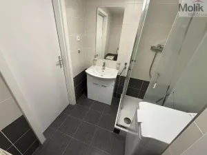 Prodej bytu 2+kk, Most, M. J. Husa, 40 m2