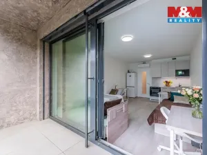 Prodej bytu 1+kk, Praha - Žižkov, Tetauerova, 33 m2