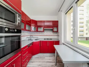 Prodej bytu 3+1, Karviná, U Lesa, 62 m2